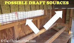chicken coop winter chickens coops ventilate cold weather chick inside drafts heat roosting surviving air care ventilation mistakes should escape