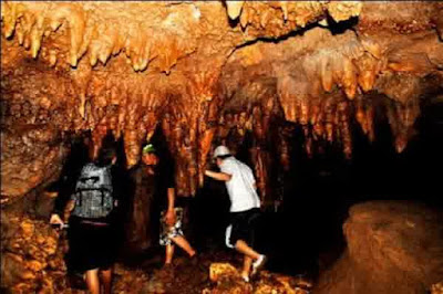Cave Gelatik