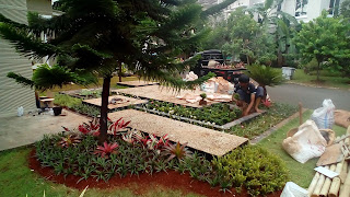 Tukang Taman Ciputat,Jasa Pembuatan Taman di Ciputat,Jasa Tukang Taman Ciputat,Jasa Renovasi Taman di Ciputat,Tukang Taman Murah di Ciputat