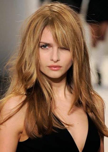 emma watson hairstyle on the premier of The Bling Ring braided updo}