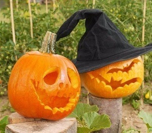 cool and easy pumpkin carving ideas cool and easy pumpkin carving ideas