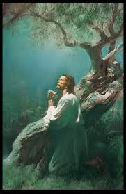 Doa Pohon Keluarga Katolik - Ahli Soal