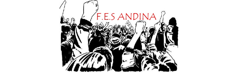 F.E.S. Andina (Federación de Estudiantes Secundarios)