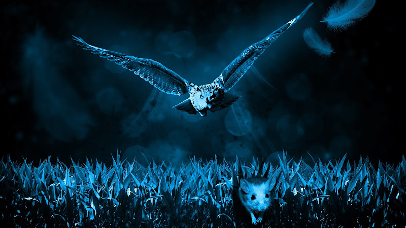The Owl Hunts a Mouse