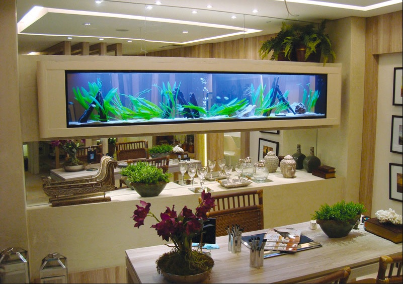 Divagando Alto Quadro aquário