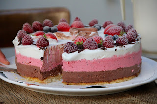 Springform Ice Cream Cake Springform Ice Cream Cake