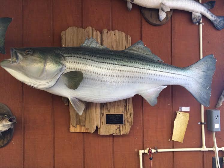 Exploring PA's Largest Lake Raystown Lake with Seven Points Marina