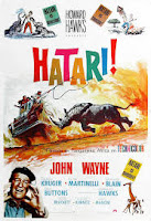 hatari hatari