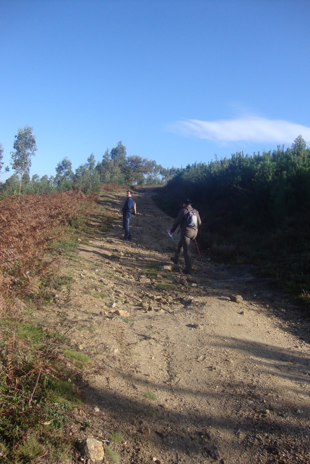 GARATUXA VERDE RUTA DO MONTE XIABRE.
