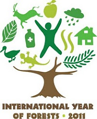 2011: Año internacional de los bosques