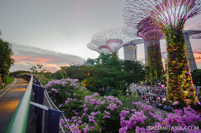 Singapore | Gardens by the Bay