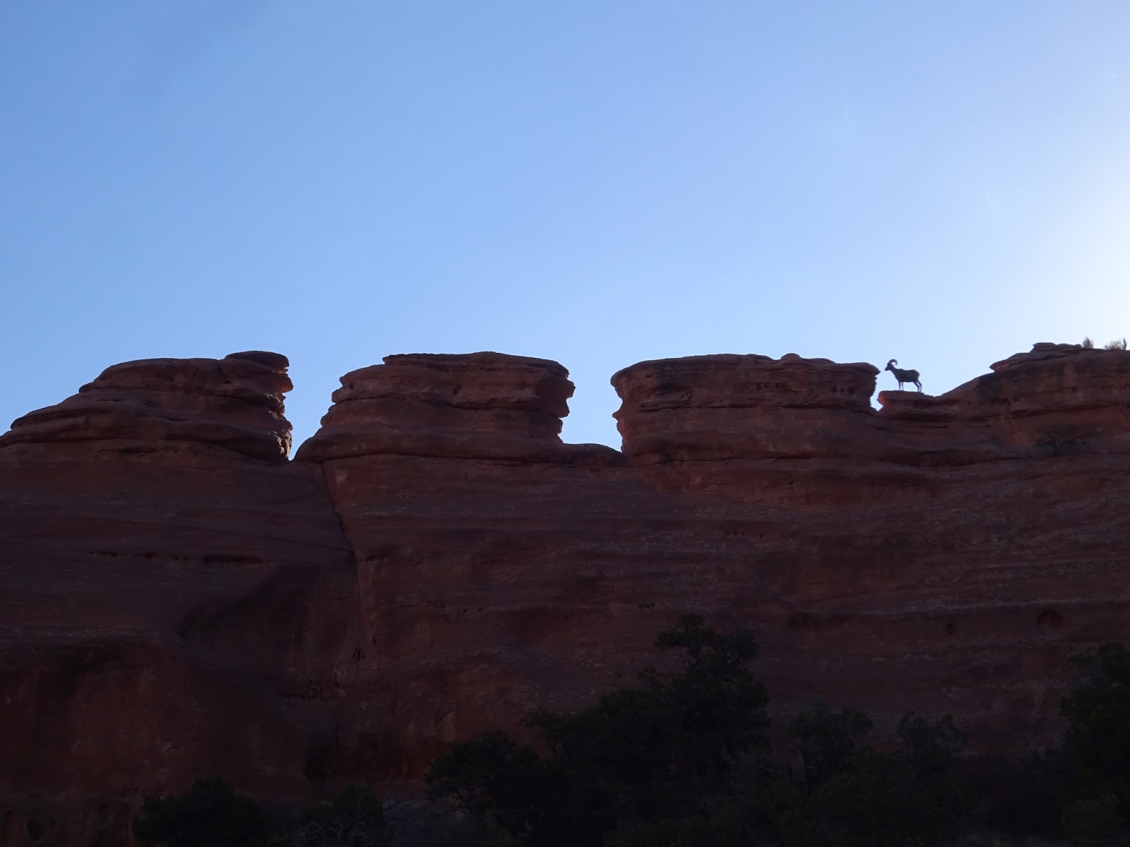 Metamorphosis Road: The Arches of Rattlesnake Canyon