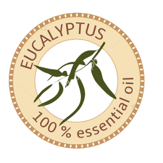 eucalyptus essential oil 