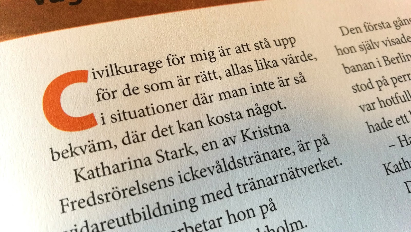 Reflektioner Allteftersom Vad är civilkurage för dig? Är det viktigt?