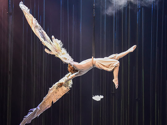 Varekai [tudo é possível]