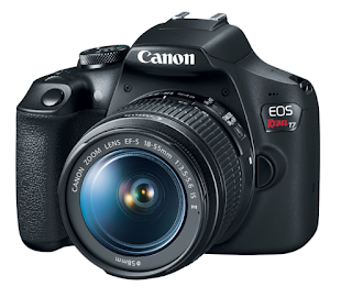 Canon EOS Rebel T7 / EOS 2000D