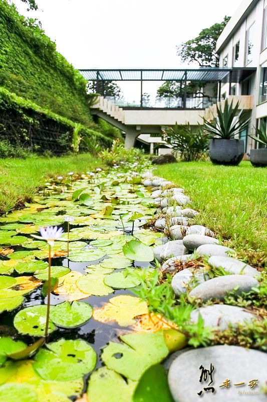 華泰瑞苑墾丁賓館|還有蝴蝶陸蟹相伴