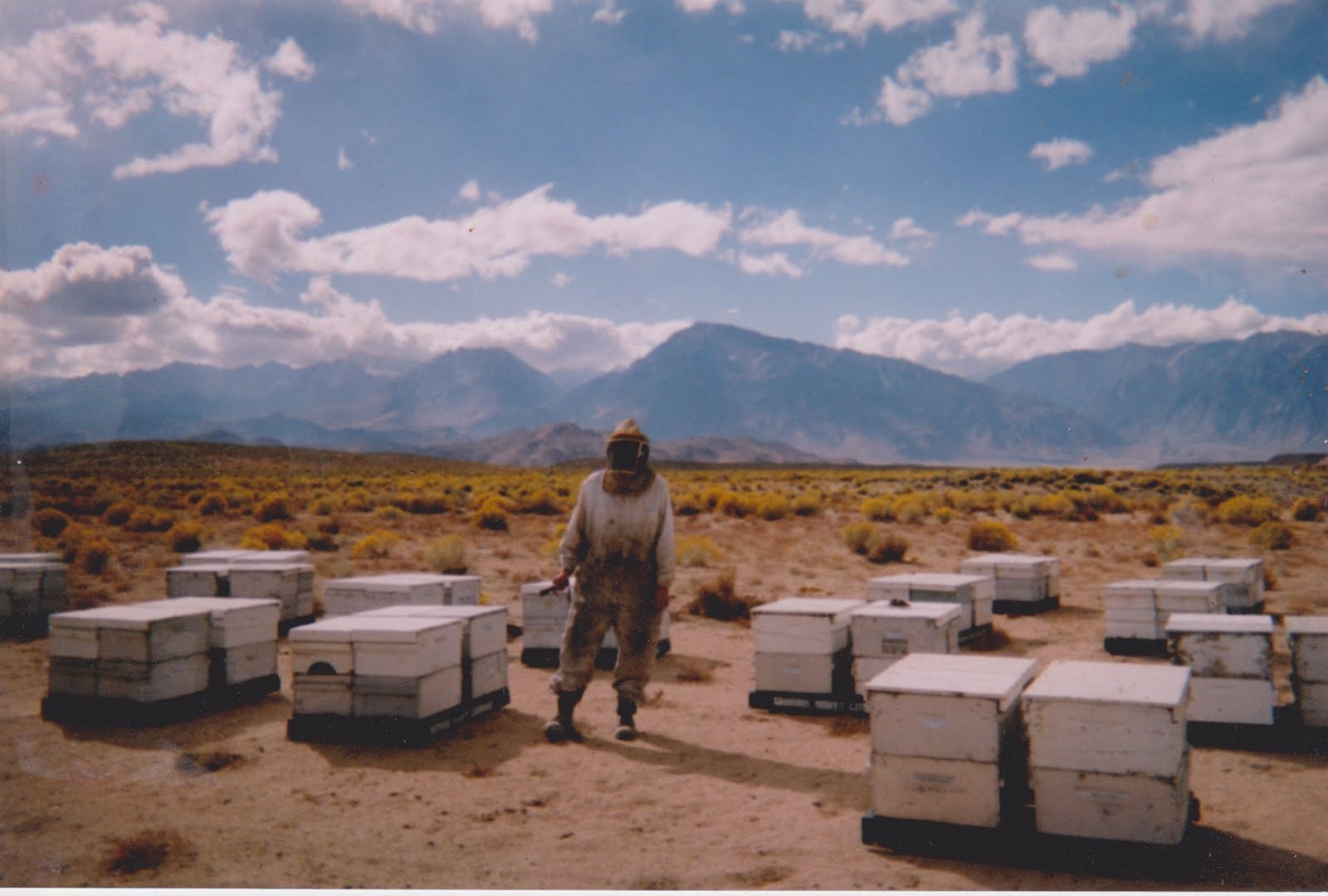 Honeyrun Farm The Super Bowl of Beekeeping