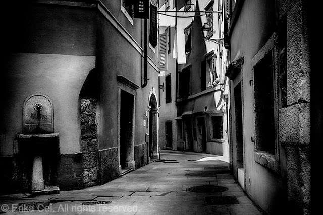 Cavana, Trieste