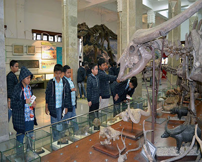 Museum Akan Dijadikan Tempat Belajar Yang Menyenangkan 1 belajar%2Boke