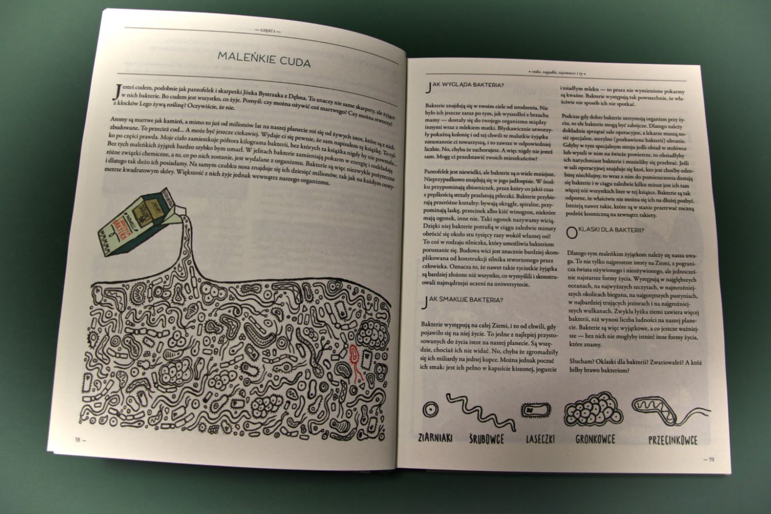 „Ewolucja. Zagadka życia na Ziemi” Jan Paul Schutten, Floor Rieder, Format „Ewolucja. Zagadka życia na Ziemi” Jan Paul Schutten, Floor Rieder, Format