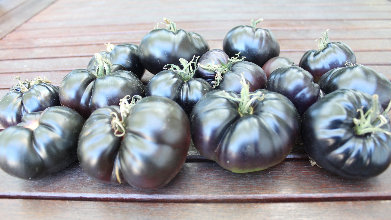 Vuosi kerta eebenpuu seksi videot