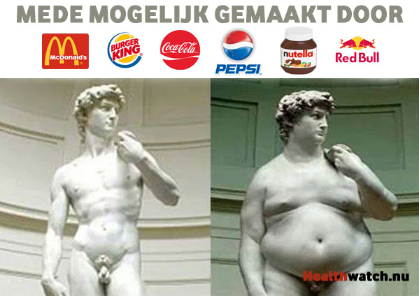 NL 1,7 milj. x Obesitas!