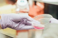 koronavirus testiranje slike otok Brač Online koronavirus testiranje slike otok Brač Online