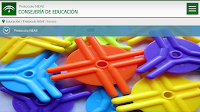 Protocolo NEAE Junta Andalucía
