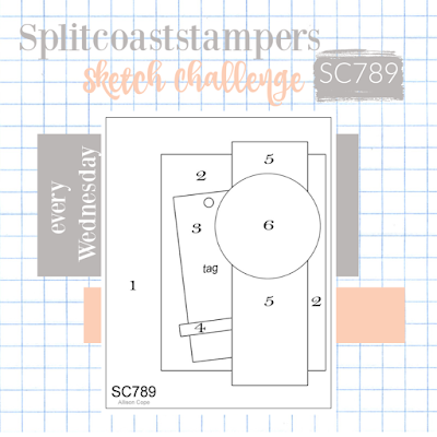 Splitcoaststampers Card Sketch Challenge SC789 Splitcoaststampers Card Sketch Challenge SC789
