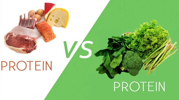 Protein's Greatest nutritional advantages you should know Protein's Greatest nutritional advantages you should know