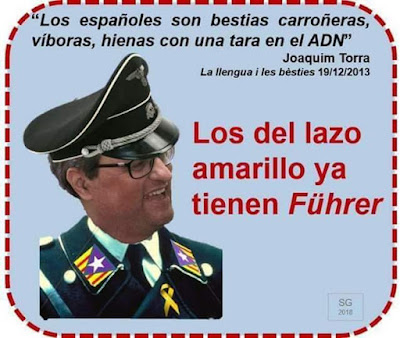 Frankfurter Allgemeine, Torra Frankfurter Allgemeine, Torra