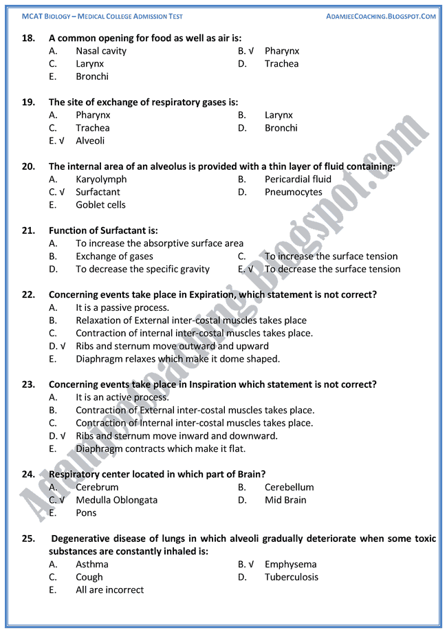 What is external respiration image