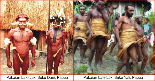 Gambar pakaian adat suku dani papua