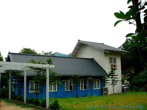 皇后鎮森林|三峽景觀餐廳|賞螢-可愛動物園-烤肉露營