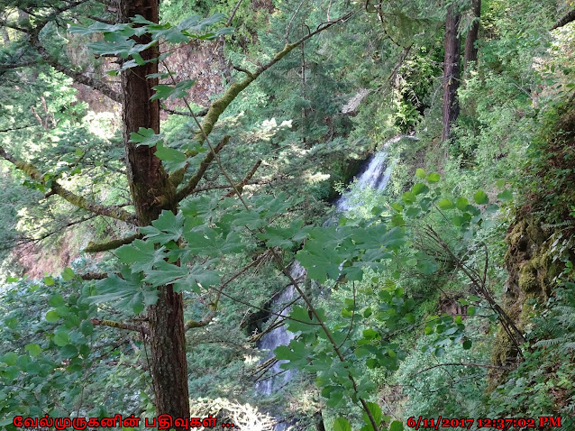 Coopey Falls Oregon