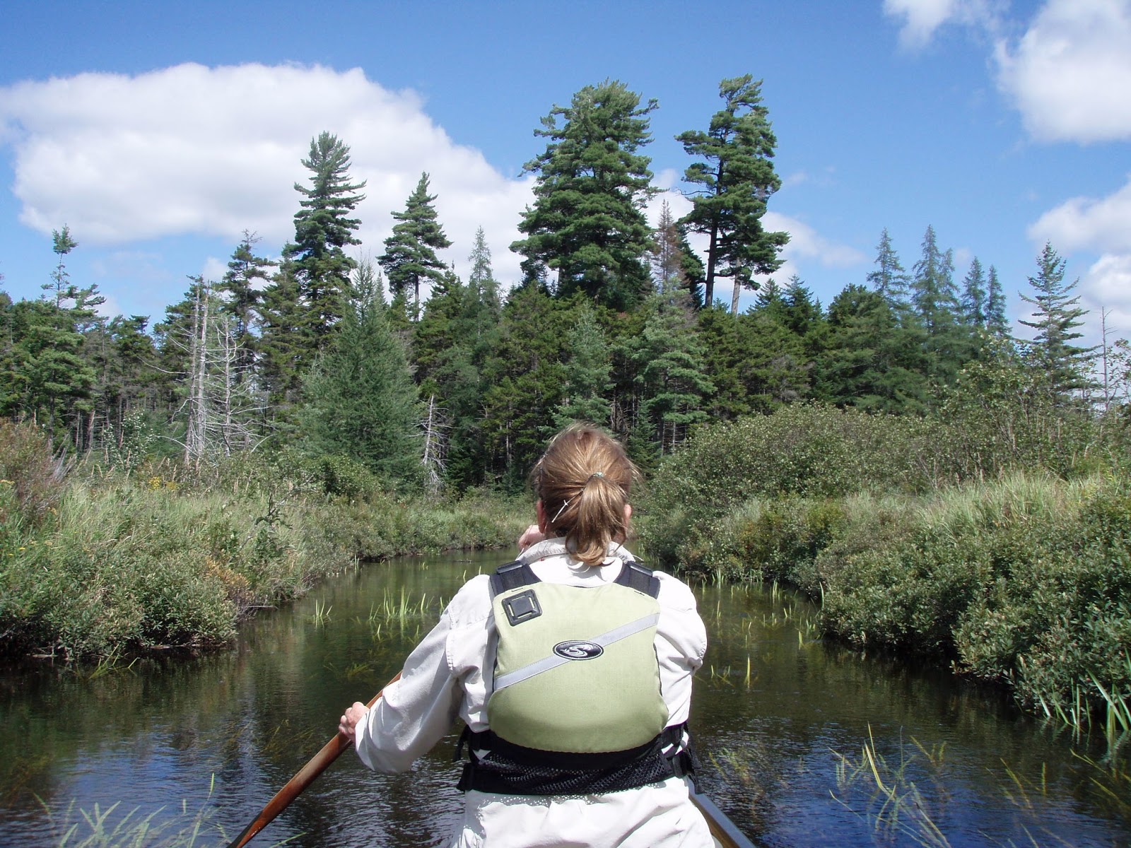 FORKED LAKE canoeing & camping, Adirondack Park, NY.