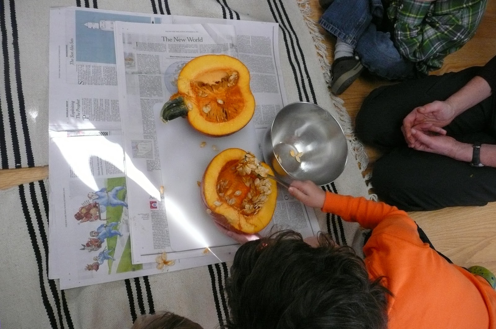 Montessori Teachings Pumpkin Dissection