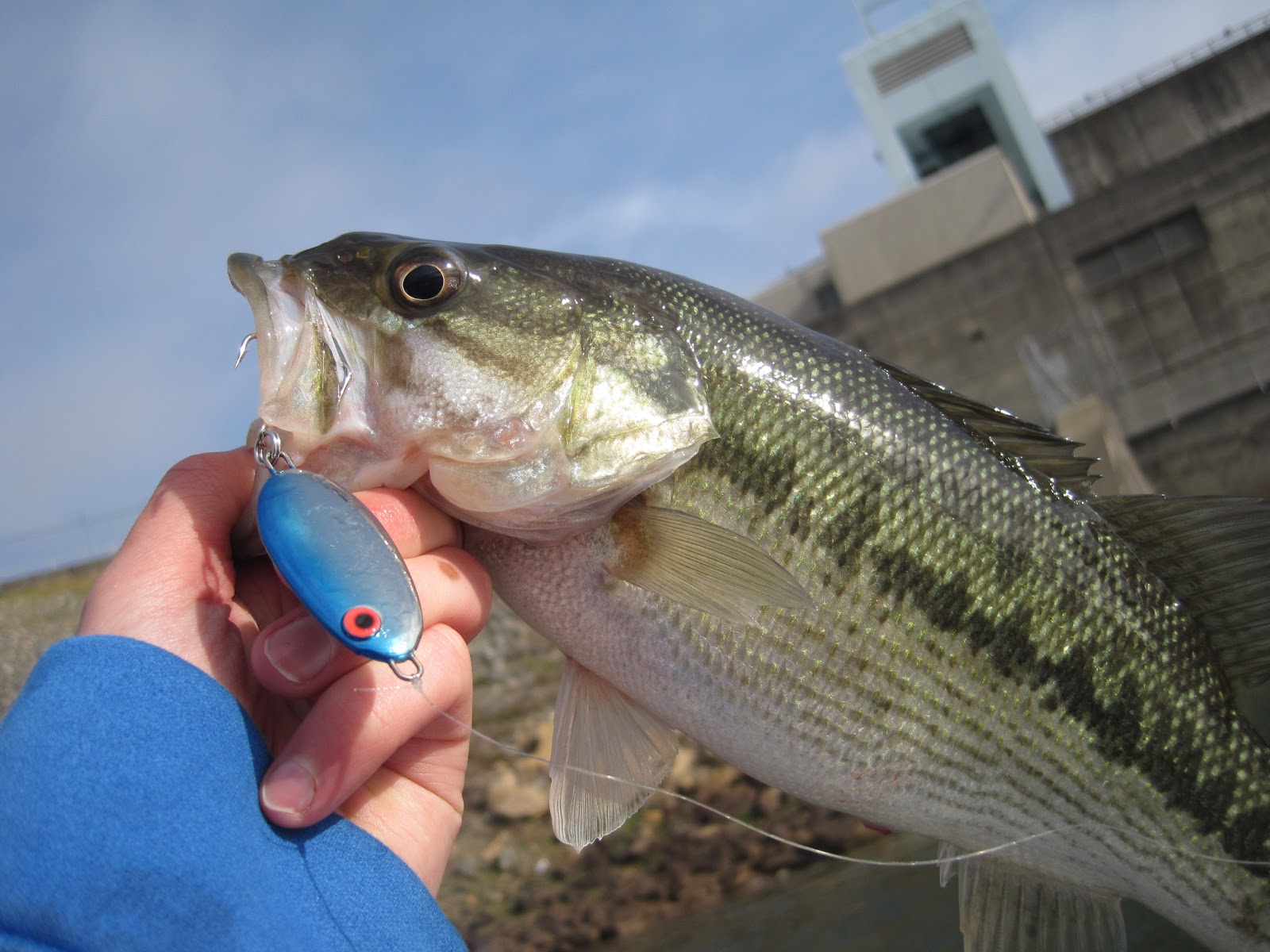 Mountain Island Lake NC