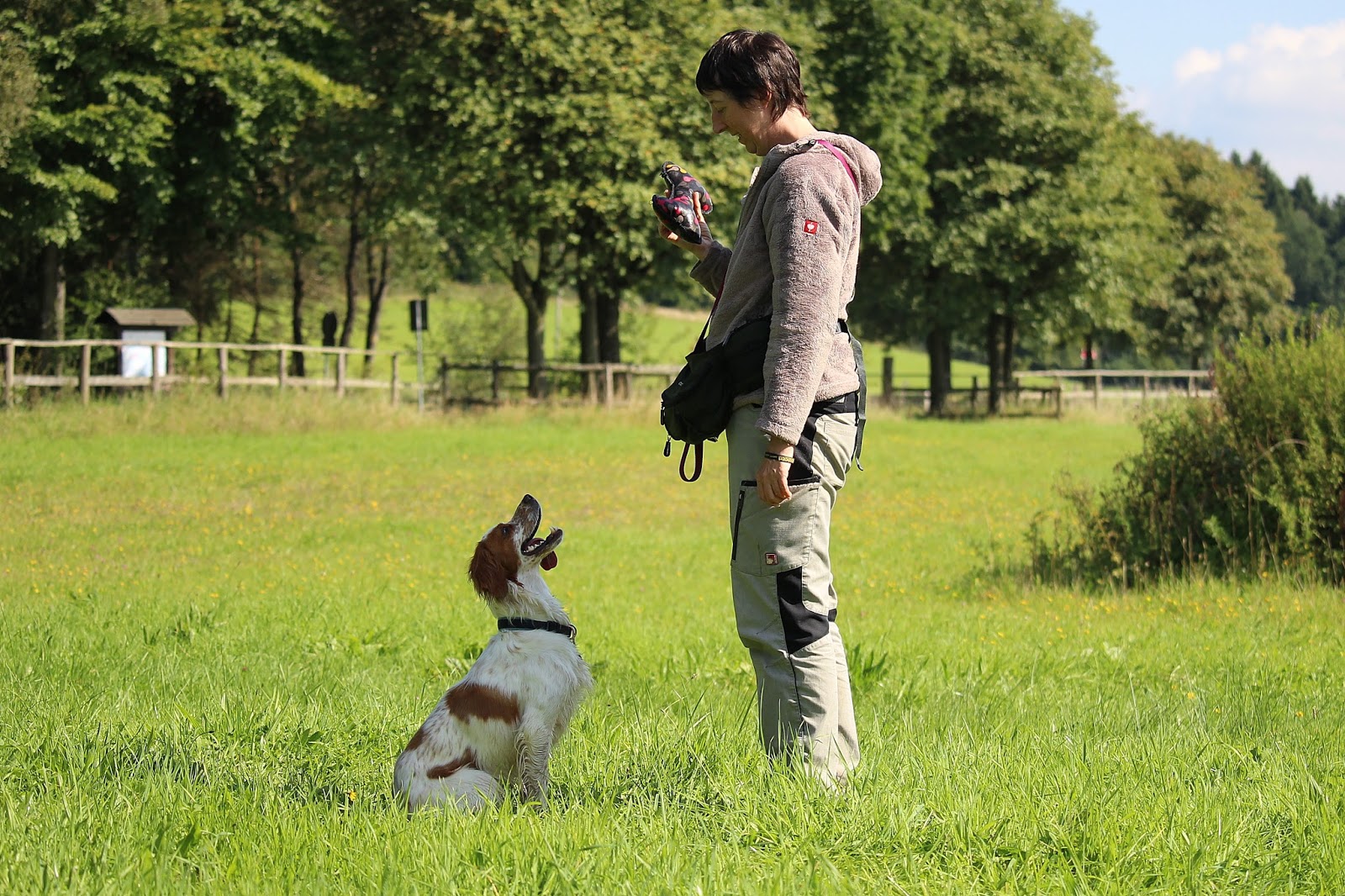 SignalHund Blog Ich sag�s Euch ehrlich! Belohnen ist prima