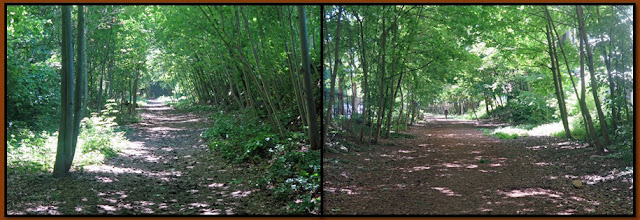 Half-an-hour s green walk in the 16th arrondissement Half-an-hour s green walk in the 16th arrondissement