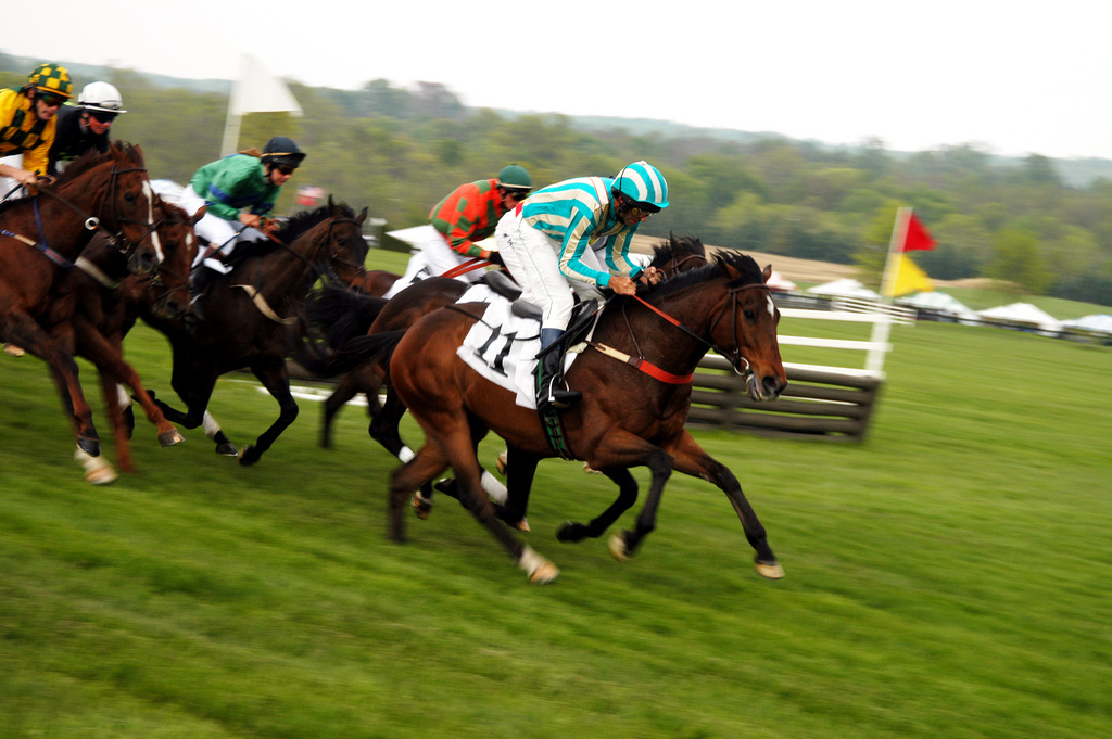 Shenandoah River, Blue Riidge Mountains and Northern Virginia Horse Country Shenandoah River, Blue Riidge Mountains and Northern Virginia Horse Country