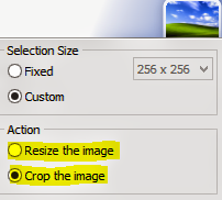 IcoFX Crop and Resize Option