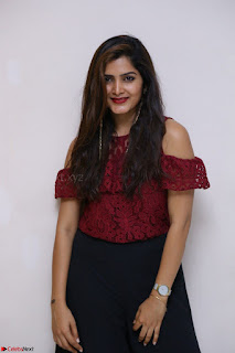 Pavani Gangireddy in Cute Black Skirt Maroon Top at 9 Movie Teaser Launch 5th May 2017  Exclusive 001