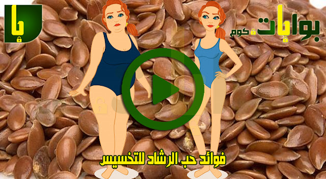 فوائد حب الرشاد للتخسيس
