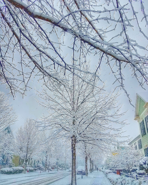 Snow in Raleigh, N.C.