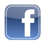 Seguimi su facebook