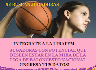 INTEGRATE A LIBAFEM