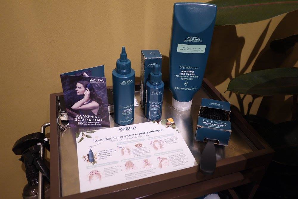 Treatments and Masques Aveda Products