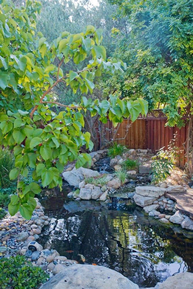 Call this the 'Wish We All Could Be Cali-Boho Girls' tour - back yard 2 www.BoHoHome.com @bohosusan